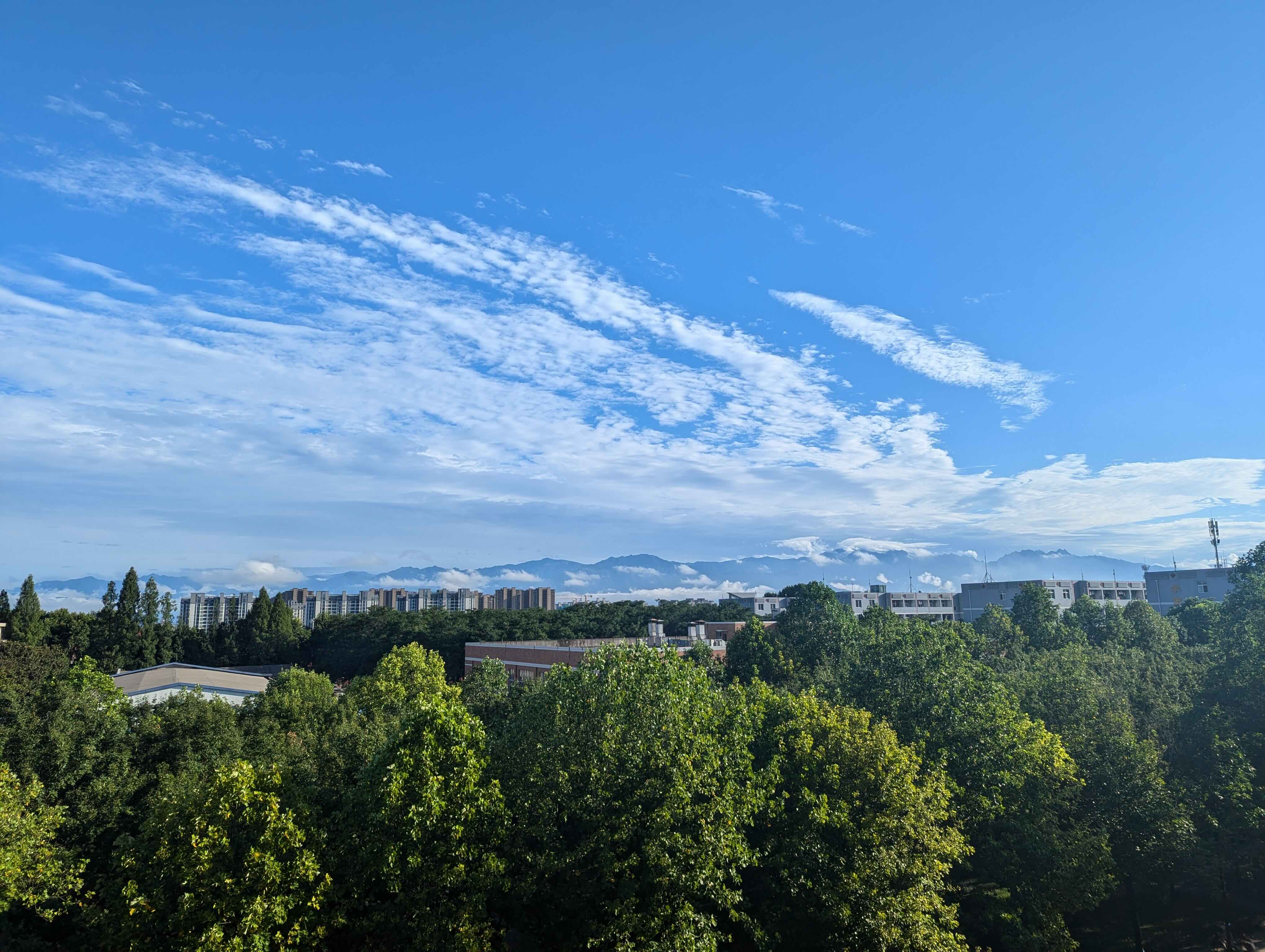 lab view