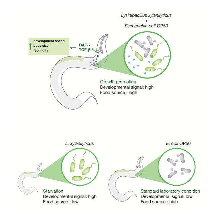 Summary Figure 1
